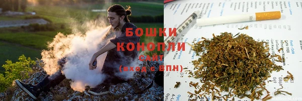 PSILOCYBIN Балахна