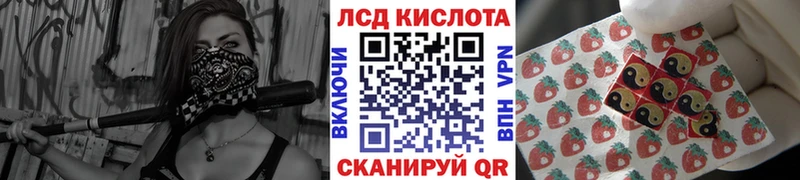 площадка телеграм  Теберда  Марки NBOMe 1,8мг 