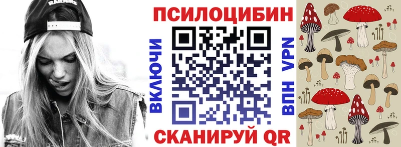Псилоцибиновые грибы прущие грибы магазин продажи mega ссылка Теберда