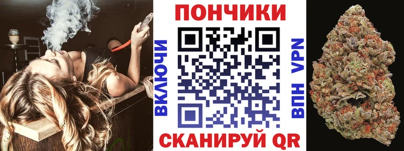 Шишки марихуана марихуана Теберда